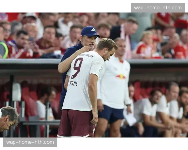 一名前德甲球员因涉嫌参与非法赌球被警方调查 一名前德甲球员因涉嫌参与非法赌球被警方调查